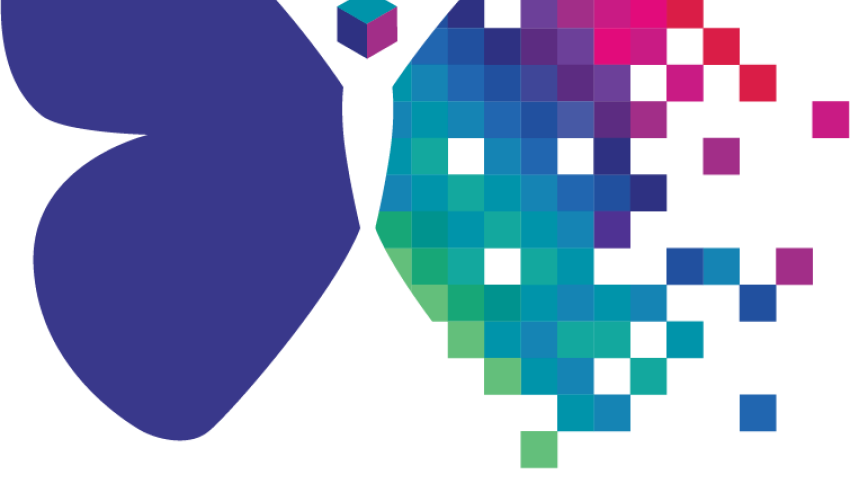 Logo of Phygital Labs in shape of butterfly
